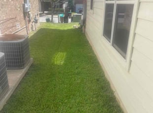 Elizabeth P.'s Lawn Care service result