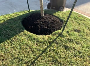 Mulching by Derrick Koontz for Maya W. in Manvel, TX