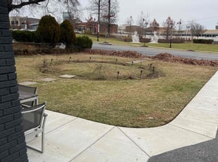 Leaf Removal by Brandon Weems for Richard J. in University Park, MD