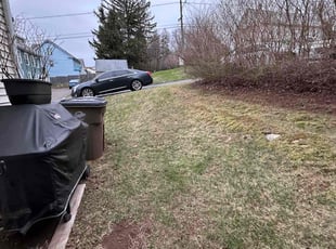 Leaf Removal by Patrick Foley for Robert K. in Vernon, CT