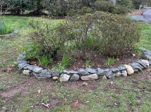 Bush Trimming by Fidel Rodriguez for Derek K. in Alexandria, VA