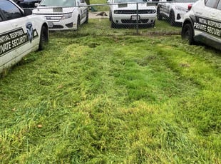 Cleanups by Gabriel Aldrete Contreras for Devin T. in Elk Grove, CA