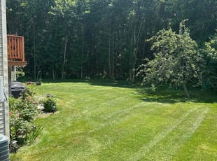 Albert C.'s Lawn Care service result