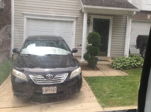 Bush Trimming by Shawn Stewart for Anita A. in District Heights, MD