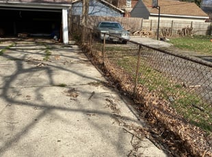 Leaf Removal by David Brooks for John S. in Detroit, MI