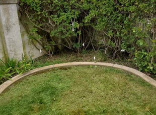 Bush Trimming by Loren Bunnell for Jonathan M. in San Diego, CA