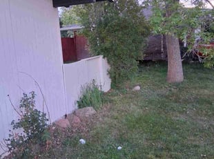 Bush Trimming by Damion Pitter for Nevaeh C. in Littleton, CO