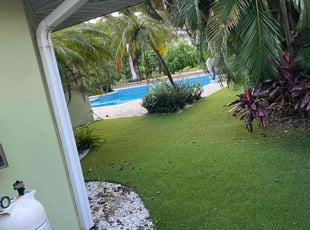 Shelton A.'s Grass Cutting service result