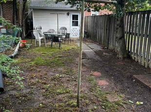 Don B.'s Leaf Removal service result