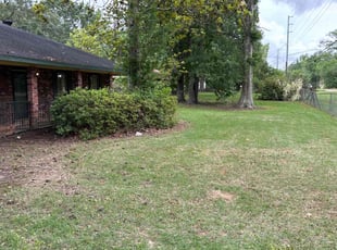 Leaf Removal by Orangie Button for ΔΉinda D. in Baton Rouge, LA