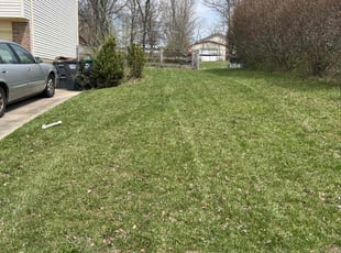 Alicia R.'s Lawn Maintenance service result