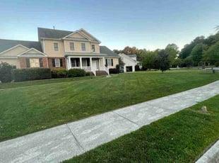 Daniella N.'s Lawn Maintenance service result