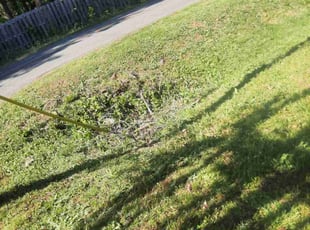 Cleanups by James Neely for Gary Y. in Rock Hill, SC