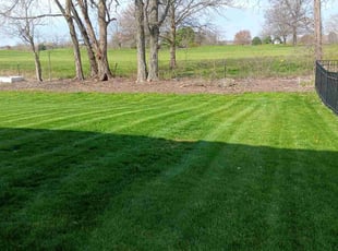 Sue L.'s Lawn Mowing service result