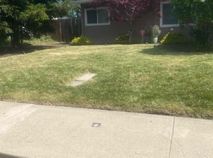 Cleanups by Michael Leftridge for Nate L. in Concord, CA