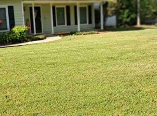 Sang Hee K.'s Lawn Maintenance service result