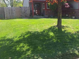 Justin M.'s Yard Cutting service result