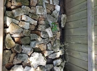 Leaf Removal by for Max B. in Austin, TX