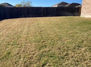 Cleanups by Emma Perales for Craw C. in Fort Worth, TX