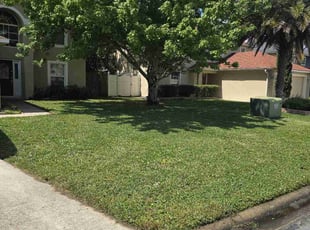 Timothy R.'s Lawn Mowing service result