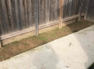Weeding by Johnie Parker for Chrissy X. in Fresno, CA