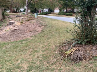 Mulching by Nicholas Burnsed for Aubrey M. in Atlanta, GA