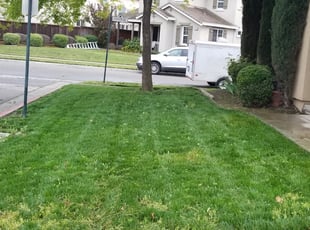 Cleanups by Joshua Catlin for Jarrett L. in Lathrop, CA