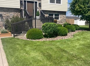 Ruby V.'s Lawn Mowing service result