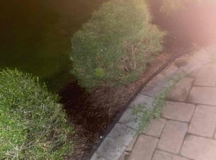 Weeding by Andre Ruffin for Tiffany M. in Owings Mills, MD