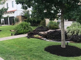 Mulching by Dulce Aguirre for Sepideh M. in Bellaire, TX