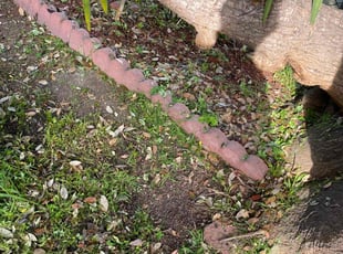 Leaf Removal by Maria Almendra for Dwight D. in Hayward, CA