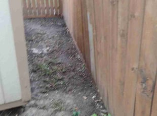 Leaf Removal by Yanet Maciel for Trena J. in Houston, TX