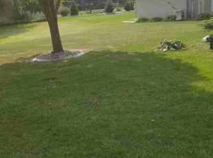 Venita Y.'s Lawn Care service result