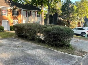 Bush Trimming by Daniel Burse for Dinah J. in Marietta, GA