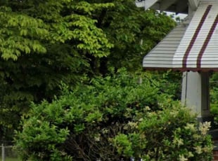 Bush Trimming by Cartouche Legrande Jr for England T. in Winston-Salem, NC