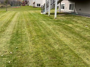 Leaf Removal by Ian Canfield for Venugopal V. in Maple Grove, MN
