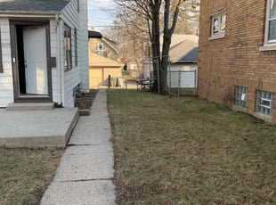 Michael G.'s Leaf Removal service result