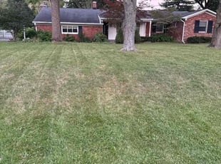 Jaime G.'s Lawn Mowing service result