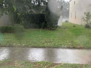Bush Trimming by Omar Ozuna Minier for Noelani N. in Land O' Lakes, FL