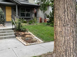 Weeding by Bill Schwartz for Ruby B. in Denver, CO