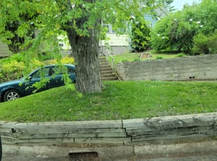 Leaf Removal by Kyle Anderson for Rylen N. in South Saint Paul, MN
