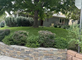Bush Trimming by Katherine Lopez Saavedra for Tristen R. in Denver, CO
