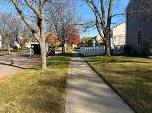 Leaf Removal by Jose Sanchez for Robert W. in Aurora, IL