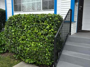 Bush Trimming by Fernando Gomez Rodriguez for Dahlia T. in Los Angeles, CA