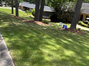 Robert Z.'s Grass Cutting service result