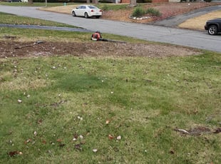 Cleanups by Frank Koller for Julie S. in Indianapolis, IN
