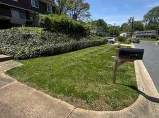 Christopher B.'s Lawn Service service result