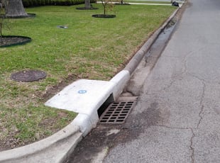 Leaf Removal by Daniel Campos for Kris K. in Bellaire, TX