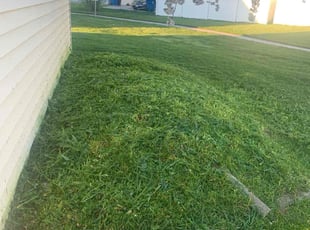 Weeding by Shawn Beardall for Shelley B. in Spanish Fork, UT