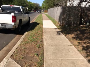 Leaf Removal by Isaiah Fiechtner for Sieglinde I. in Round Rock, TX